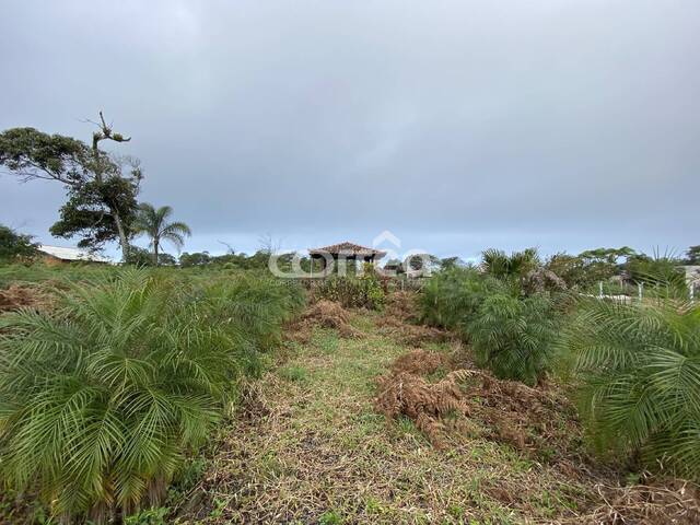 #073 - Terreno para Venda em Balneário Barra do Sul - SC - 2