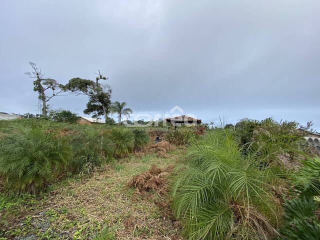 #073 - Terreno para Venda em Balneário Barra do Sul - SC - 3