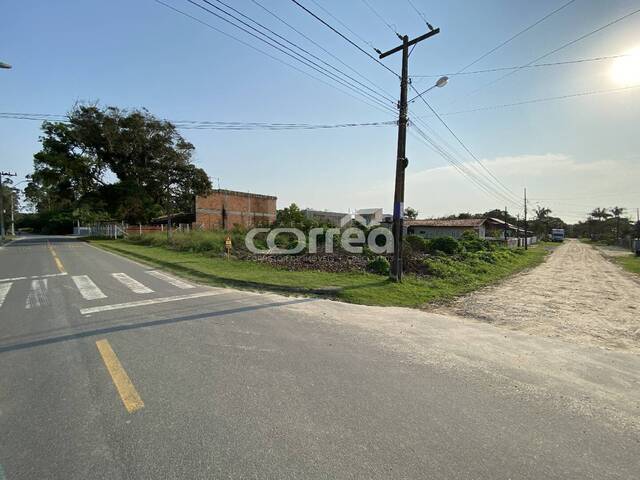 #077 - Terreno para Venda em Balneário Barra do Sul - SC - 1