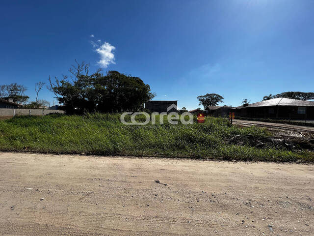 #155 - Terreno para Venda em Balneário Barra do Sul - SC - 2