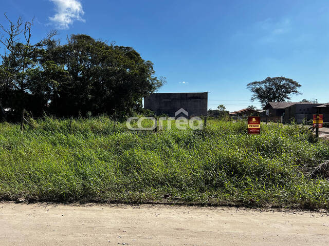 #155 - Terreno para Venda em Balneário Barra do Sul - SC - 3