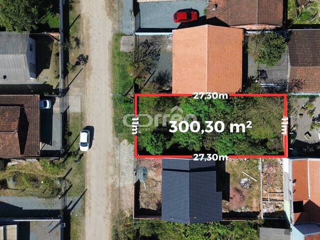 #203 - Terreno para Venda em Balneário Barra do Sul - SC - 2