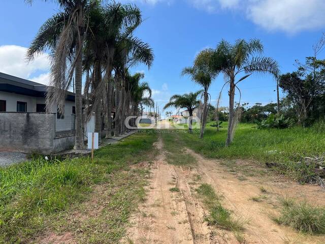 #208 - Terreno para Venda em Balneário Barra do Sul - SC - 2