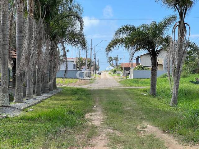 #208 - Terreno para Venda em Balneário Barra do Sul - SC - 1