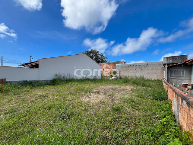 #210 - Terreno para Venda em Balneário Barra do Sul - SC - 2
